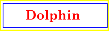 [Dolphin]
